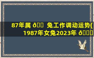 87年属 🐠 兔工作调动运势(1987年女兔2023年 🍁 感情婚姻)